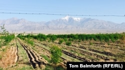 The agriculturally rich Ferghana Valley has been a source of tension between Uzbekistan, Kyrgyzstan, and Tajikistan for decades. 