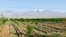 The agriculturally rich Ferghana Valley has been a source of tension between Uzbekistan, Kyrgyzstan, and Tajikistan for decades. 