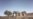 Rostov desert