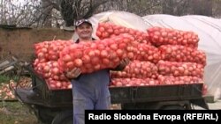 Macedonia - No ransom onions in Macedonia.