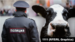 Коллаж: корова и полицейский