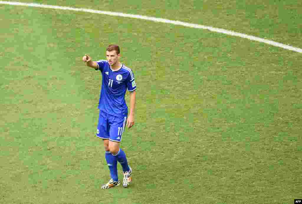 Postigao je prvi ikada gol za reprezentaciju BiH na Svjetskom prvenstvu na utakmici protiv Irana 25. juna 2014. 
