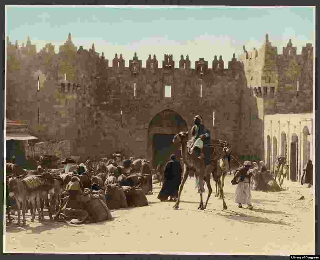 A pack train outside the Damascus Gate. The city currently has a population of 780,000. A League of Nations report in 1920 put the entire population of Palestine at just 700,000.