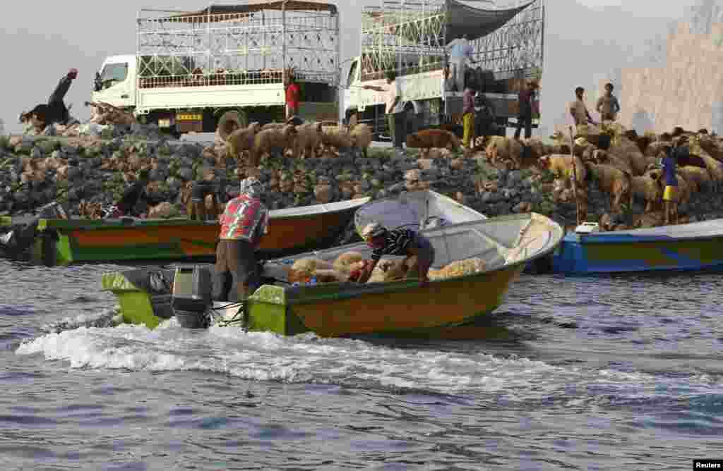 Iranian smugglers in boats while sheep are loaded at the Omani port of Khasab on September 26 2012. 