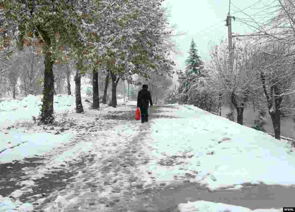 Таоми айёми зимистон #5