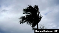 صدراعظم جزایر باهاما: توفان اخیر "بی‌سابقه" بود.