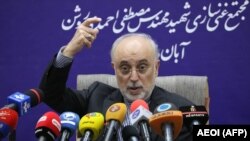 Head of the Atomic Energy Organisation of Iran (AEOI), Ali Akbar Salehi speaks at a press conference following a visit at the nuclear power plant of Natanz, November 4, 2019
