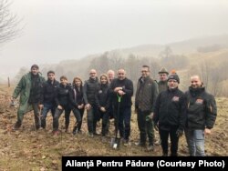 Împădurire cu echipa de la Academia Titi Aur, la ocolul silvic Slănic Prahova (2019).