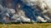 В Луганской области из-за лесных пожаров сгорели два поселка (видео)
