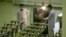 Iranian technicians work at a facility near the city of Isfahan that produces uranium fuel. (file photo)