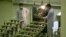 Iranian technicians work at a facility that produces uranium fuel, near the city of Isfahan. (file photo)