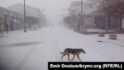 Ілюстративне фото