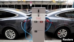 دو خودرو برقی تسلا در حال شارژ در برلین آلمان