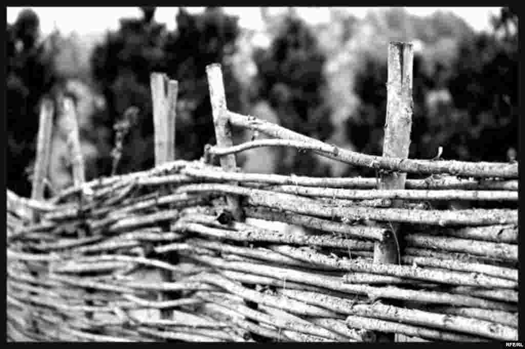 Фото Ильи Бобчинецкого