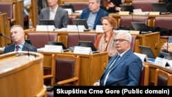 Predsjednik Skupštine Crne Gore Andrija Mandić