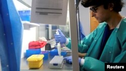 آزمایش نمونه های گرفته شده ویروس کرونا در یک لابراتوار در امریکا