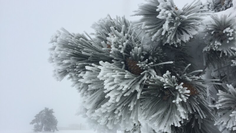 В соцсетях публикуют фото и видео первого снега на Ай-Петри 