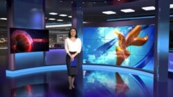 29-февраль 2016