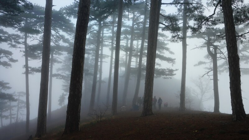 Вслед за туманами: крымские туристы выбирают Кореизскую тропу (фотогалерея)