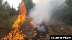 Шумски пожар во Македонија