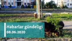 Habarlar gündeligi