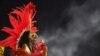 Карнавал у Ріо-де-Жанейро скасували через пандемію коронавірусу