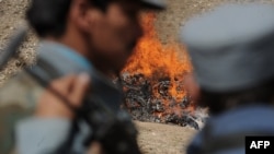 Afghan policemen stand by as a pile of narcotics is burned on the outskirts of Kabul in August.