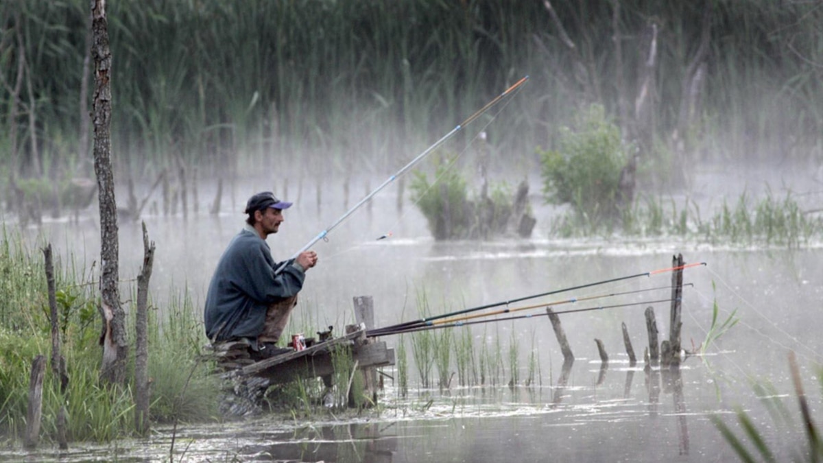 Клев идет. Ловля рыбы в дождь. Рыбалка под дождем. Улов на удочку. Рыбалка в дождь.