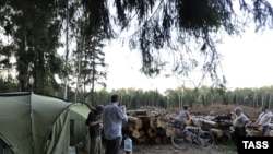 Activists have set up camp by a patch of forest already cleared to make way for the planned highway. 
