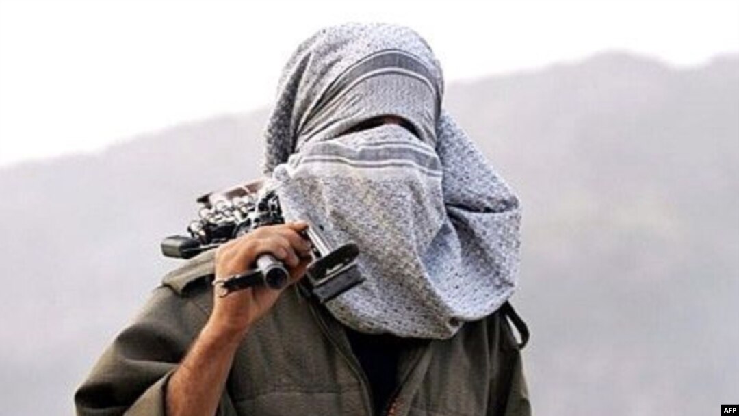 Kurdish militants have been fighting for an independent state in Turkey. (file photo)