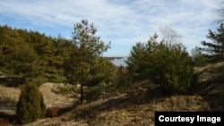 В заповеднике "Куршская коса"