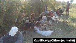 Пахта теримига чиқарилган ҳашарчилар.