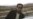 RSF Asks Turkmen President To Pardon Two Activists