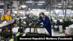 Secție de producție a unei companii specializate în fabricarea plaselor din fibră de sticlă, or. Vulcănești, 20 februarie 2025