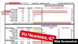 В волосах детей Владикавказа кратно превышено содержание тяжелых металлов