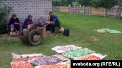 Пэнсіянэры талакой абіраюць цыбулю, якая б без Лукашэнкі не ўрадзіла б