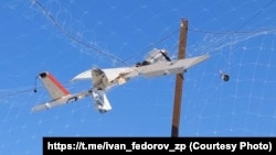 Российский БПЛА «Молния», застрявший в антидроновой сетке. Запорожская область, январь 2026 года. Фото с официальной страницы главы Запорожской ОВА Ивана Федорова