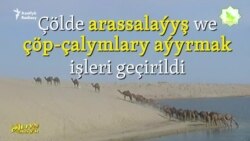 Daşoguzlylar atlylary "şowhun bilen" garşyladylar