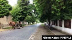 A road in Berehove, where nearly half of the population identifies as ethnic-Hungarian