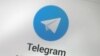 Ташқи меҳнат миграцияси масалалари агентлиги билан Telegram орқали боғланиш имкони пайдо бўлди