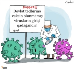 Virusların vaksinasiyası