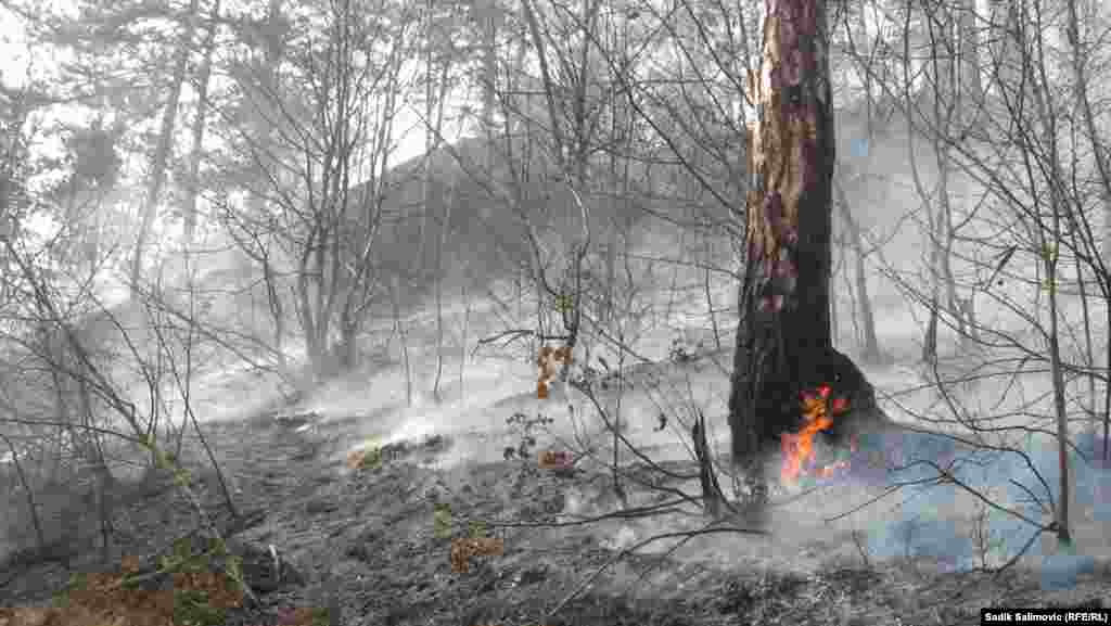 BiH - Gašenje šumskog požara u okolini Srebrenice onemogućavala su minirana područja, 28.03.2012. Foto: RSE / Sadik Salimović 