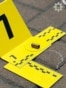 Why Was There A Shoot-Out In Kyiv Between Security and Intelligence Agents?