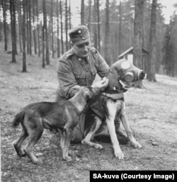 Câinii militari primeau măști de gaze. Temerile că URSS ar folosi gaze toxice au fost, totuși, nefondate.