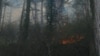 В Вологодской области ввели режим ЧС из-за лесных пожаров