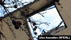 Операция учурунда талкаланган үй. 17-июль, 2015-жыл