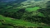 هشدار در مورد احتمال نابودی جنگل‌های هیرکانی در یکی دو دهه آینده