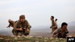 File photo - Iranian Kurdish Peshmerga members of the Kurdistan Democratic Party of (KDP-Iran) take part in routine military exercises in Koya, 100 kms north of Irbil, December 9, 2014