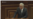 Գալիք տարի Հայաստանը կունենա 4,8 տոկոս տնտեսական աճ. 2021թ. պետբյուջեի նախագիծ