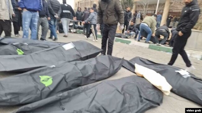 Тела убитых участников протестов в мешках в судебно-медицинском центре "Кахризак" в Тегеране. 12 января 2026 года